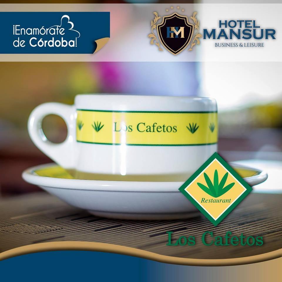 Hotel Mansur Business&Leisure Córdoba Extérieur photo